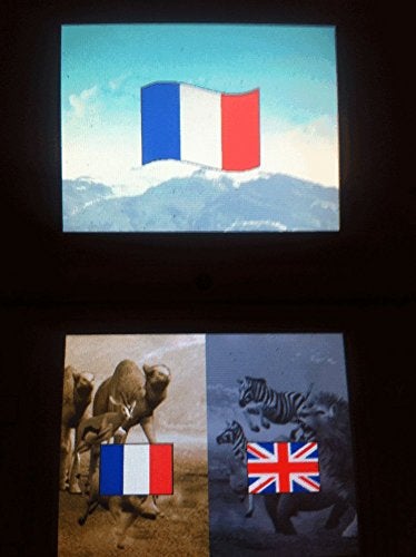 THQ زoo تايكون - Image 4