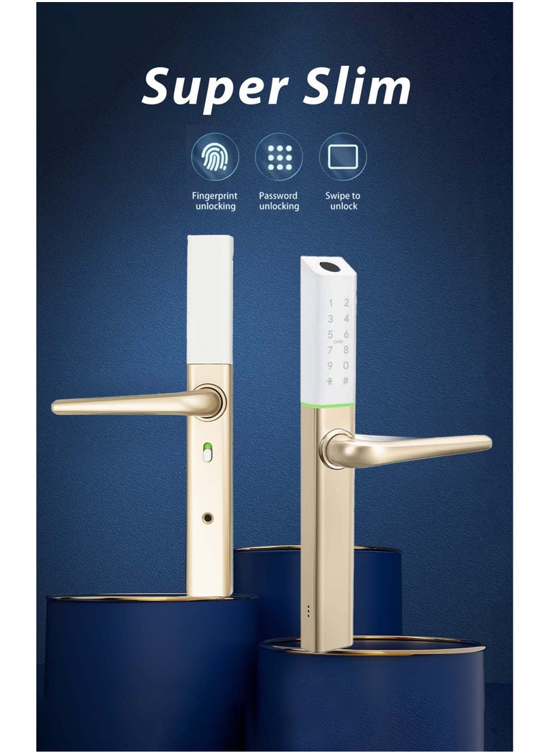Areb SMART LOCK NARROW STYLE GOLD 30 * 85 – 5 Unlocking Methods, Fingerprint, PIN Code, App Control, RFID Card, Emergency Key, Auto-Lock, Anti-Theft Security for Home & Office