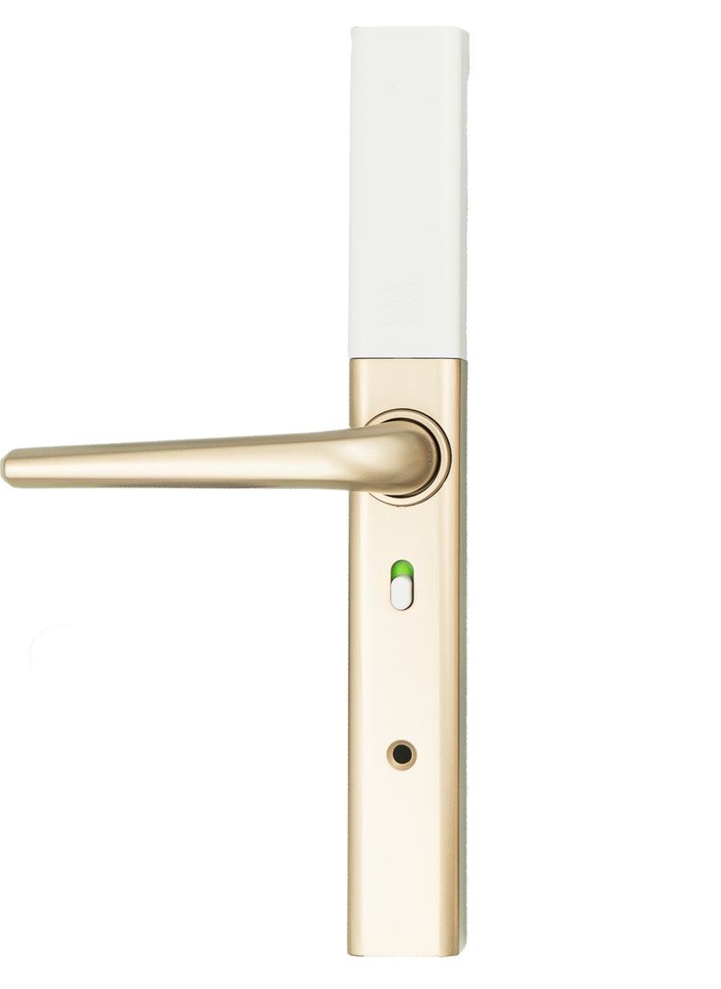 areb Areb SMART LOCK NARROW STYLE GOLD 30 * 85 – 5 Unlocking Methods, Fingerprint, PIN Code, App Control, RFID Card, Emergency Key, Auto-Lock, Anti-Theft Security for Home & Office  - Image 2