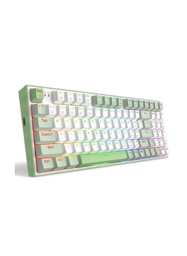 S134 (WINTER EDTION) Combo Ultimate Gaming Rig 94% Mechanical Keyboard RGB Brown Switch, Mouse 7200 DPI Optical Sensor