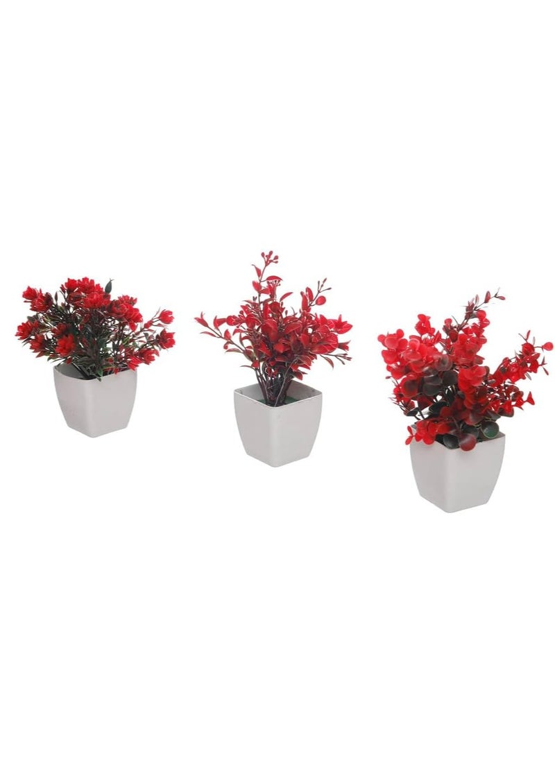Generic Modern Industrial Planting Set Home Decor Cultivation Red, White UnSaLi-14  - Image 1
