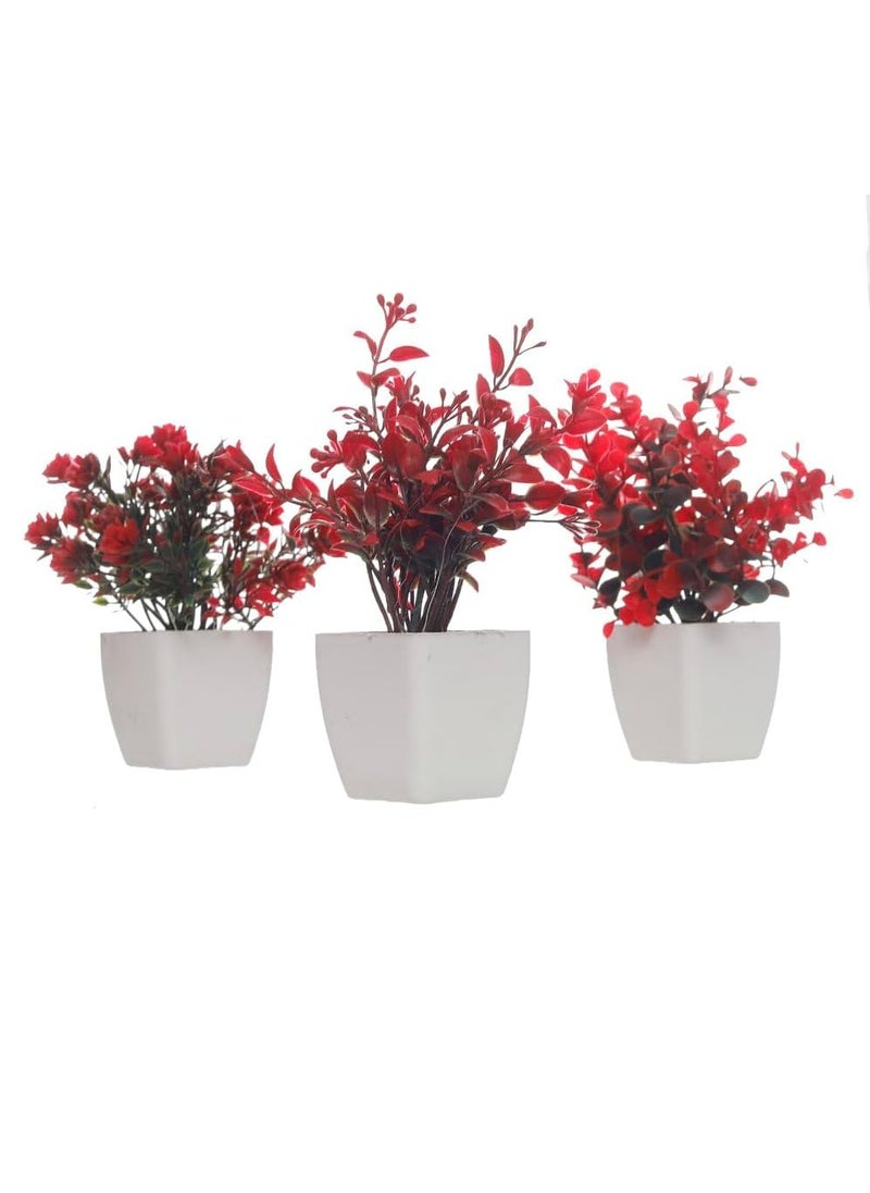 Generic Modern Industrial Planting Set Home Decor Cultivation Red, White UnSaLi-14  - Image 2