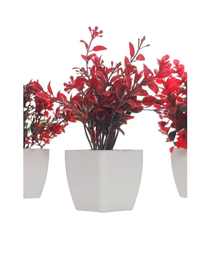 Generic Modern Industrial Planting Set Home Decor Cultivation Red, White UnSaLi-14  - Image 3