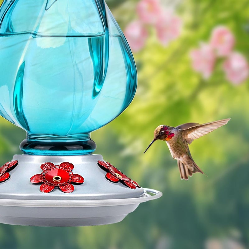 BOLITE Hummingbird Feeder, Glass Hummingbird Feeders for Outdoors Hanging, with Ant Moat and Five Feeding Ports, 22 Ounces, Leak Proof, Blue Bottle - Image 3