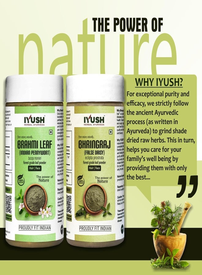 IYUSH Herbal Ayurveda Brahmi Bhringraj Powder - 500gm | Brahmi Powder and Bhringraj Powder | Hair Volume Powder | Hair Volumizing Powder | Skin Care & Hair Care | (250gm each) - Image 5