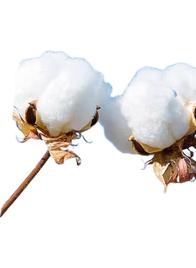 FIRS [200 Thread Dp Wrinkle-Free] [Full-Body Seams Lining] High-End Business Long-Sleeve Shirt For Men, White, Size 38 - Image 3