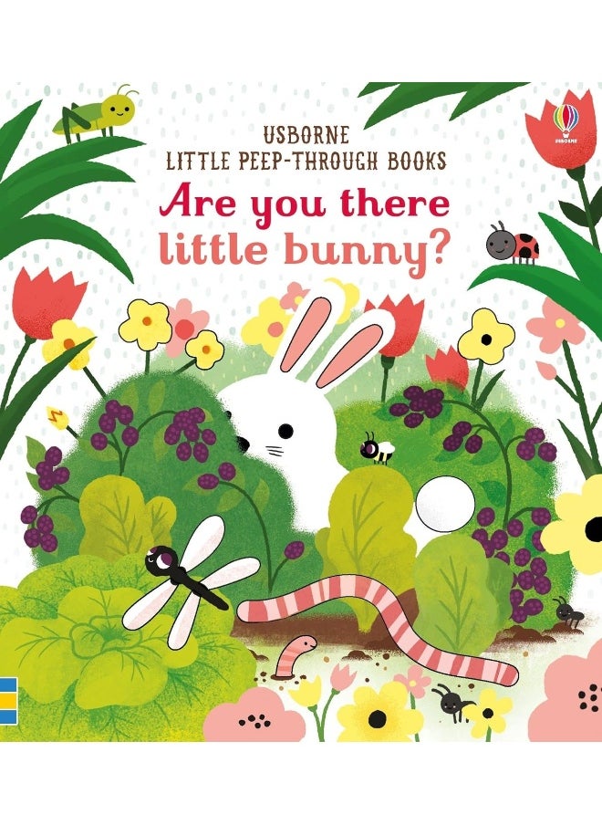 Usborne Publishing Ltd Are you there little Bunny 