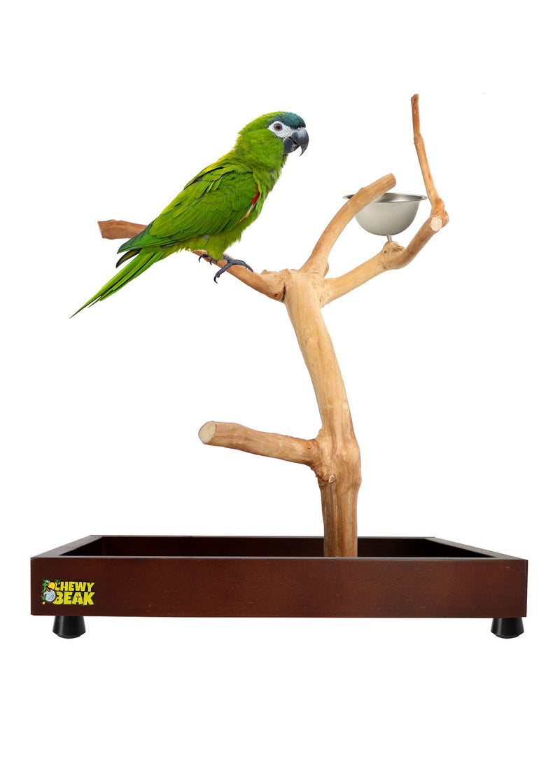 CHEWY BEAK Bird Stand Table Top Natural wooden Parrot Play Stand Indonesian Java wood Tree Perches with Stainless steel feeder small size - Image 1