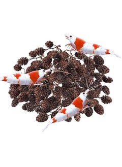 SunGrow SunGrow Alder Cones for Shrimps, Water Conditioner for Freshwater Shrimp Tanks, Aquarium Decorations & Accessories (100 Pcs)  - Image 1