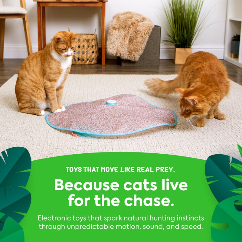 SmartyKat Hidden Hijinks Toy for Indoor Cats & Kittens, Electronic Interactive Motion Toy, Featuring Teaser Wand, Plus Replaceable Batteries Included - Image 5