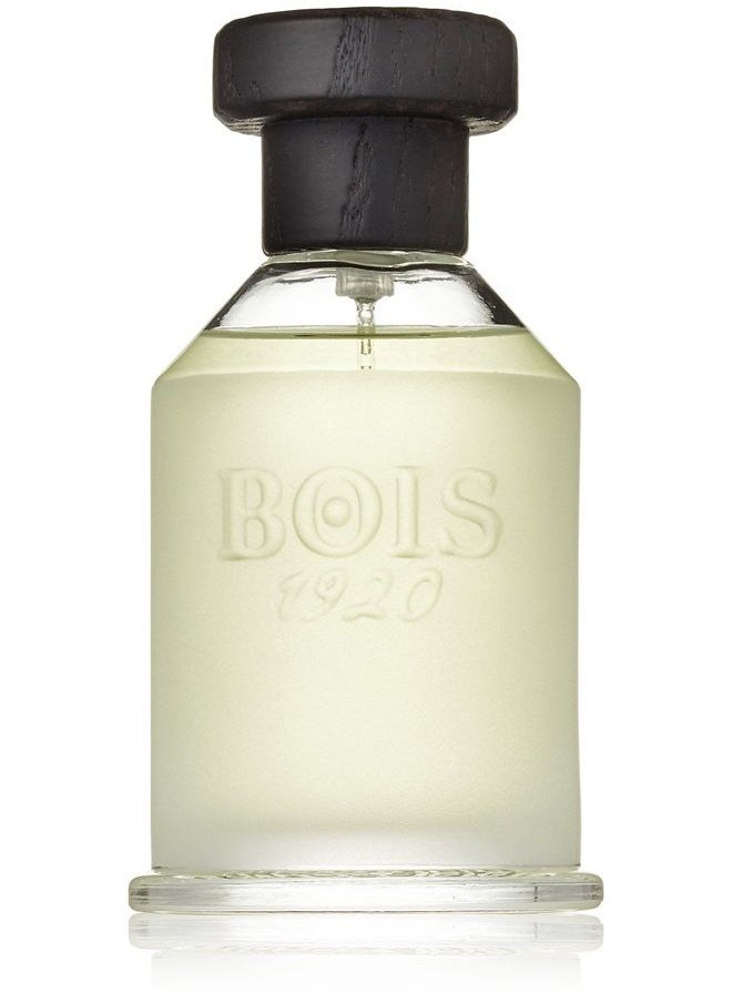 BOIS 1920 Agrumi Amari Di Sicilia Eau De Parfum Spray 3.4 Ounce  - Image 1