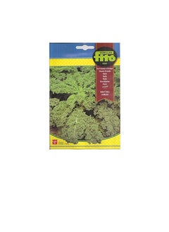 Fito Fito Semillas Kale Premium Quality Seeds  - Image 2