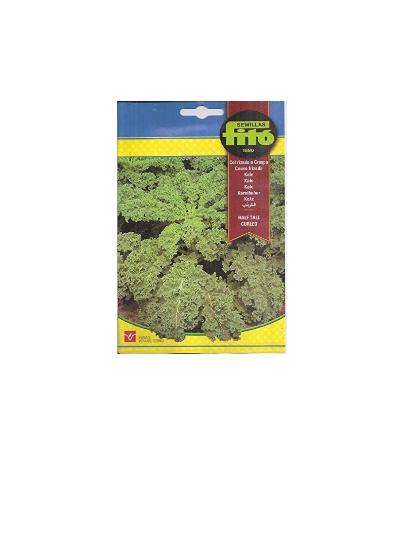 Fito - Fito Semillas Kale Premium Quality Seeds - Image 1