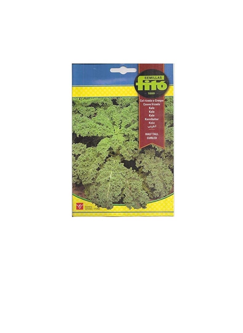 Fito - Fito Semillas Kale Premium Quality Seeds - Image 1
