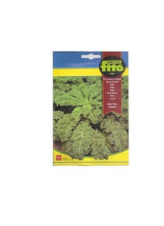Fito Fito Semillas Kale Premium Quality Seeds  - Image 1