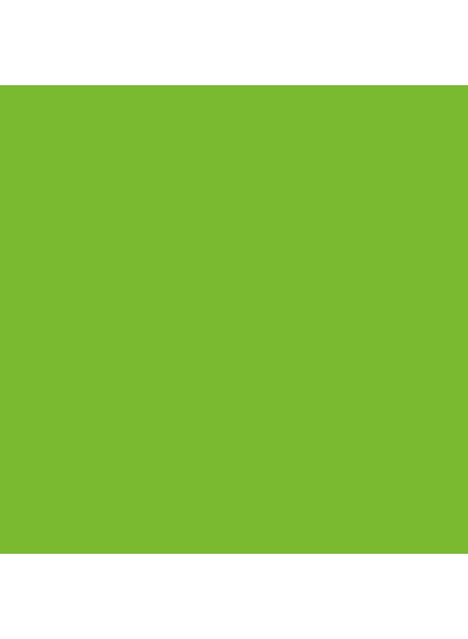 FABER-CASTELL Faber-Castell POLYCHROMOS ARTIST COLOUR PENCILS LIGHT GREEN - Image 2