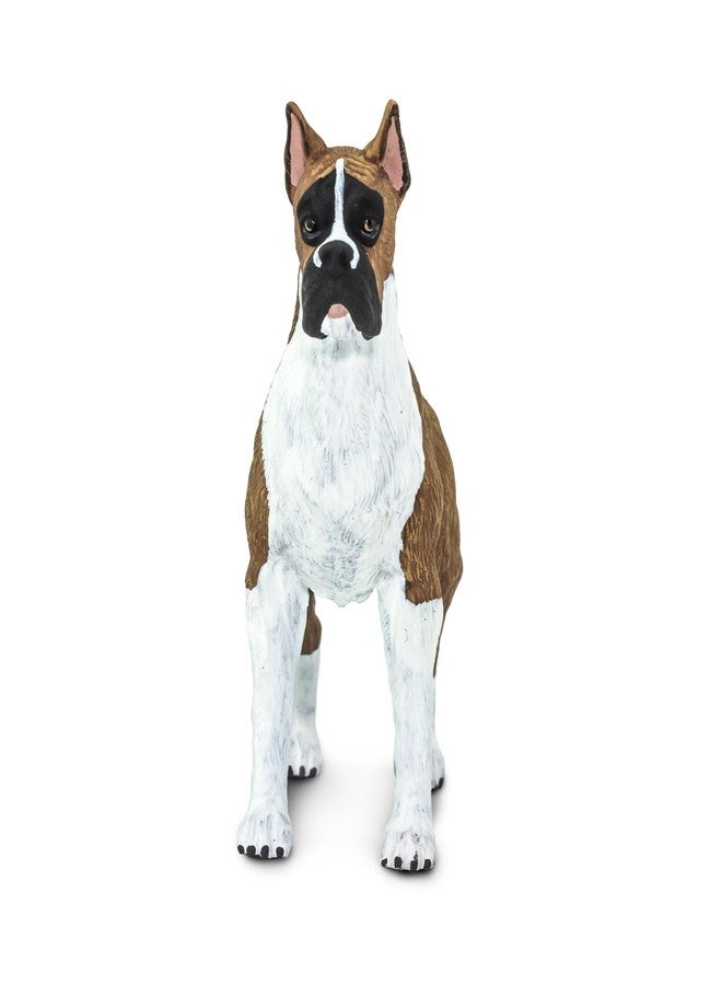 Safari Ltd. Boxer Figurine - Detailed 4" Plastic Model Figure - Fun Educational Play Toy for Boys, Girls & Kids Ages 3+ - Image 5