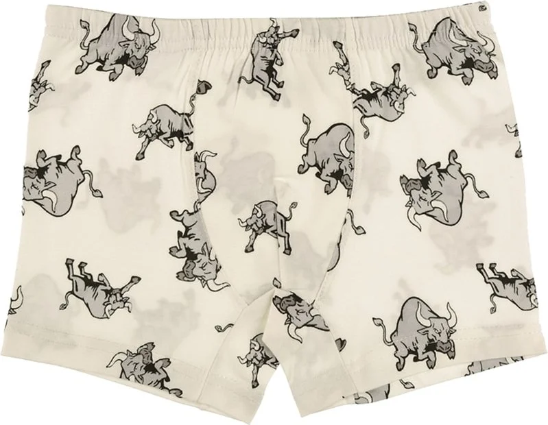 Donella 10 Pcs Bull Printed Boy's Boxer - 751121