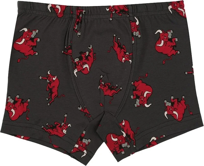 Donella 10 Pcs Bull Printed Boy's Boxer - 751121