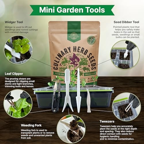 Organo Republic 12 Culinary Herbs Seeds Variety Pack - 7,355+ Heirloom, Non-GMO, Herbs Seeds for Outdoor and Indoor Home Gardening, Including Basil, Cilantro, Chives, Dill, Parsley, Sage - Image 4