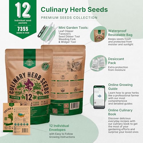 Organo Republic 12 Culinary Herbs Seeds Variety Pack - 7,355+ Heirloom, Non-GMO, Herbs Seeds for Outdoor and Indoor Home Gardening, Including Basil, Cilantro, Chives, Dill, Parsley, Sage - Image 2
