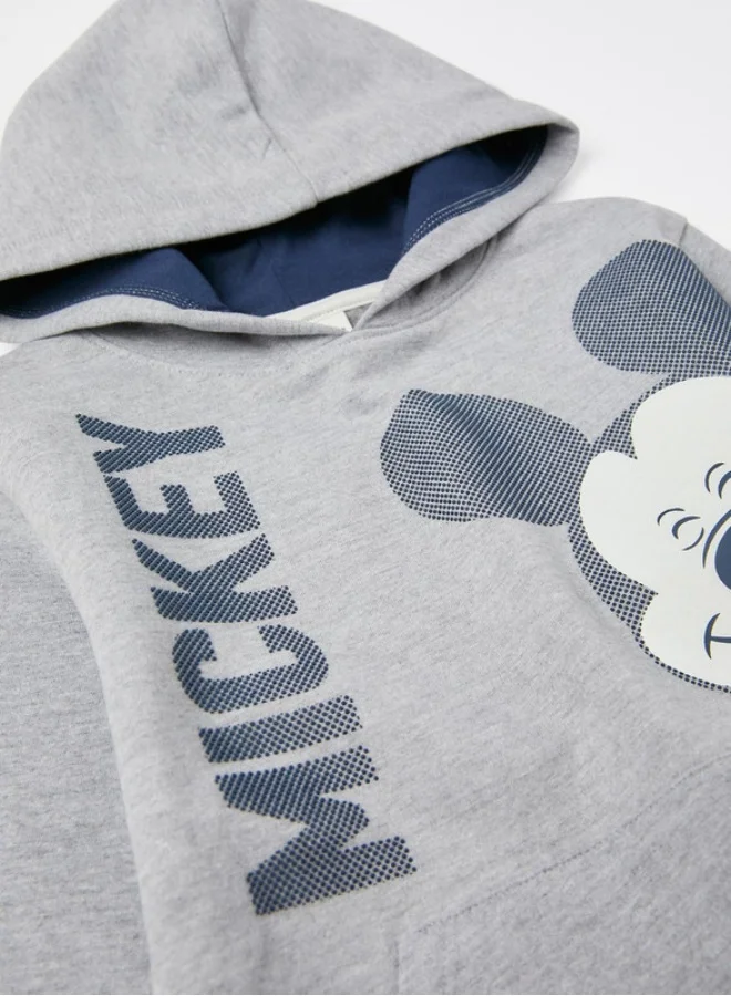 Zippy Zippy Cotton Hooded Sweatshirt For Boys - Grey