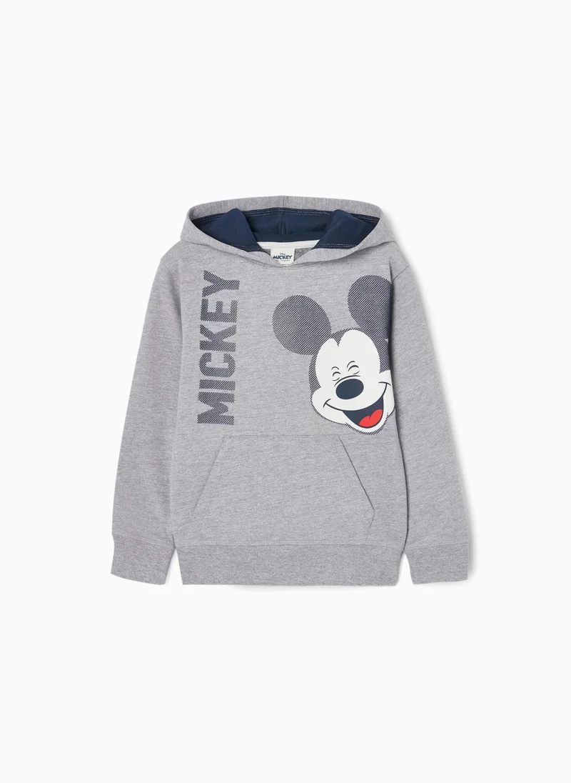 Zippy Zippy Cotton Hooded Sweatshirt For Boys - Grey