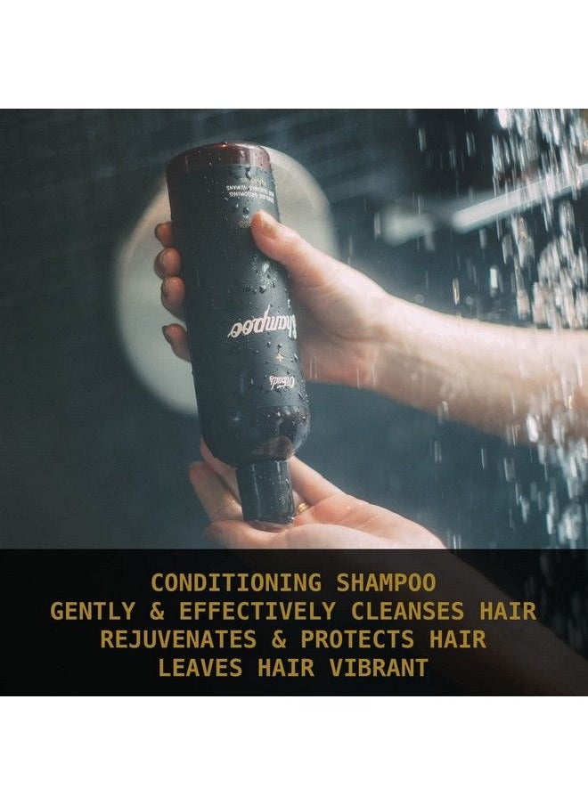 Activated Charcoal Shampoo Natural Moisturizing & Clarifying Shampoo With Coco Betaine & Aloe Vera Vegan Sulfate & Paraben Free Lavender & Peppermint Scent (12 Oz.) - pzsku/Z2594F2B319BECD161856Z/45/_/1683531942/dd094145-7a10-438d-9bcd-84fb4d5d904f