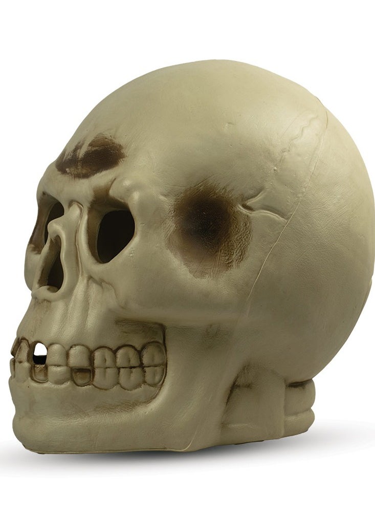 Creepy 14-Inch Giant Light-Up Skull Centrepiece Halloween Decoration for Trick-or-Treat Props, Theme Party, Haunted House Decor - pzsku/Z2595D45939EEFF683627Z/45/_/1724216800/d3908927-e79d-4ede-80c9-3a2fa867f373