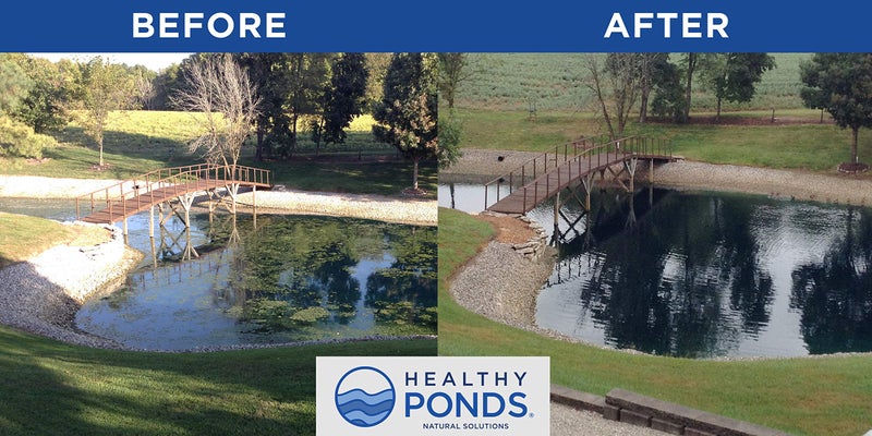 Healthy Ponds Aquasphere Pro Biodegradable Pond Treatment, Treats up to 500,000 Gallons - Image 5