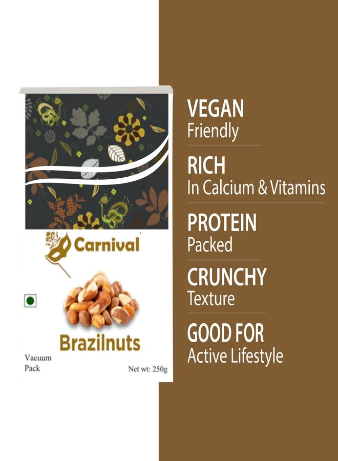 Carnival Premium Jumbo Size Brazil Nuts 250g | Whole Raw Unsalted Dry Fruits | Rich in Selenium for Immunity | Healthy Keto Snack | Vegan & Gluten-Free - Image 3