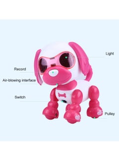 Battery Operated Electric Smart Robot Dog Recording Function For Birthday Gift Kid - pzsku/Z25976EA738DBEED42E67Z/45/_/1733406288/b1ebc6e1-f55e-497f-8410-483ac1dcd2cf