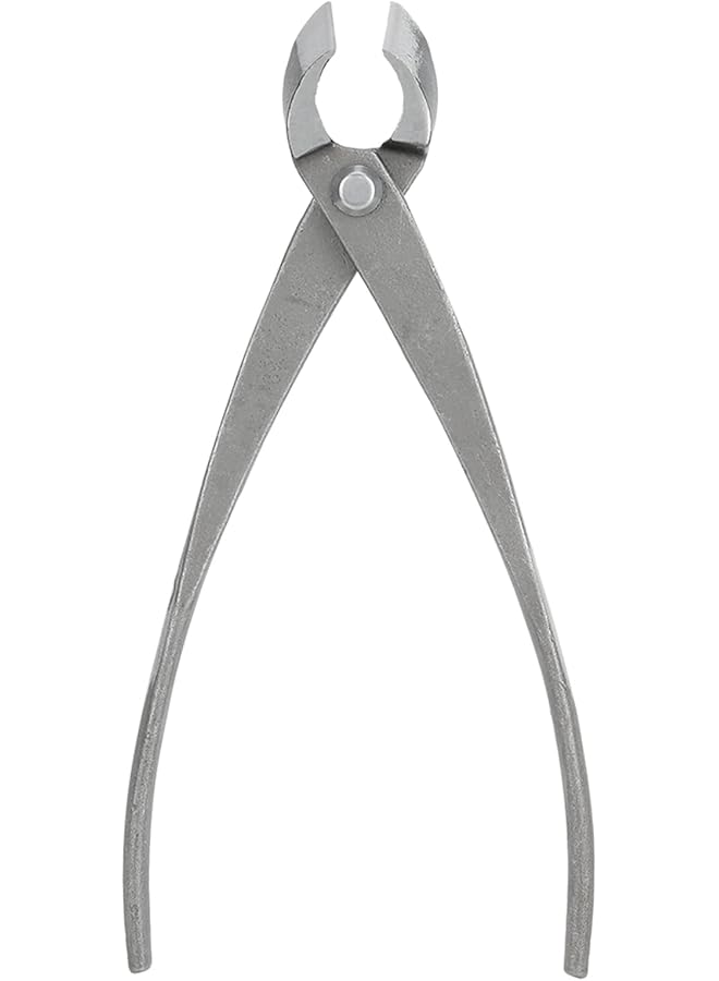 PROMASS مقص تقليم فروع شجرة بونساي من برومس، مصنوع من الفولاذ الكربوني المقاوم للتآكل، لمحبي البستنة - Image 1