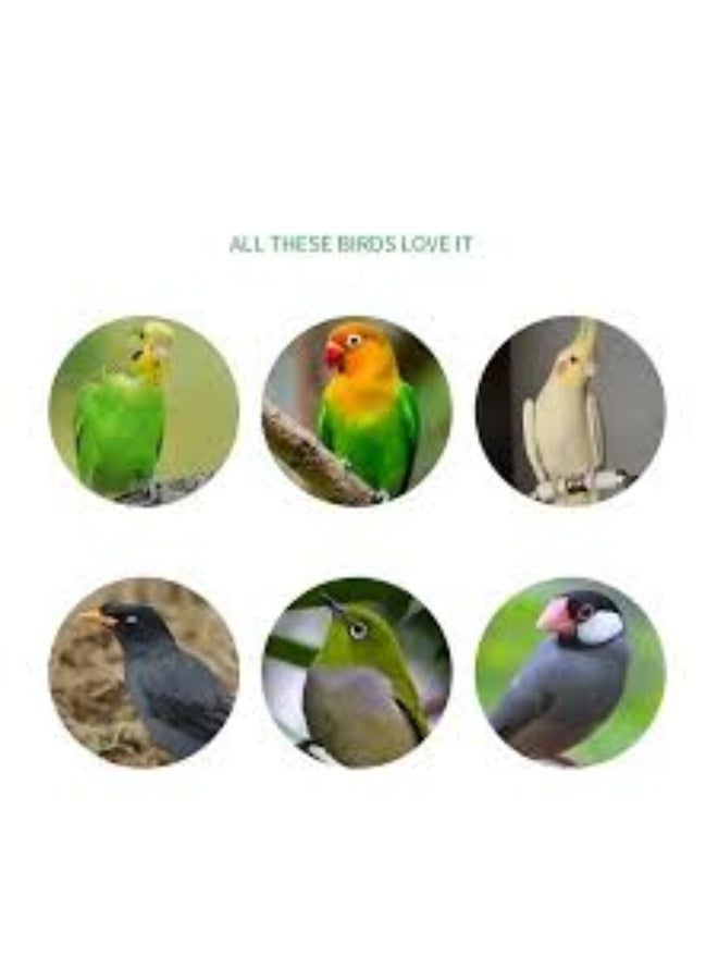 لاكي نوف 5 قطع من مجاثم الطيور وحوامل الأعشاش، أعمدة حاملة للطيور، عصا لبرد المخالب، إكسسوارات أقفاص الطيور، مجثم وقوف الطيور - Image 3