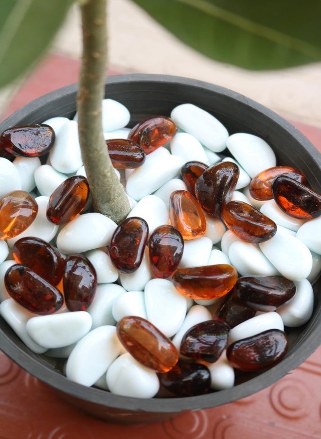 Wowtag Golden Brown and White Glossy Stones for Aquarium, Garden, Plant Pots, Vase fillers, Craft Work, DIY Projects, Table Decor, 1 kg - Image 3