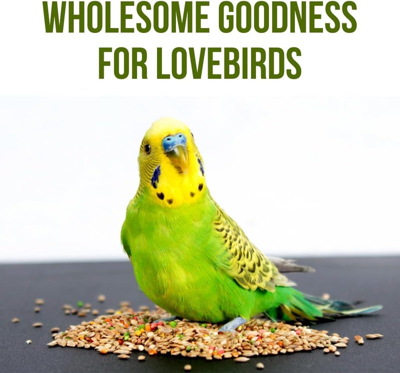 BRANDSFINITY Premium Bird Food For Love Bird And Parakeet - Image 4