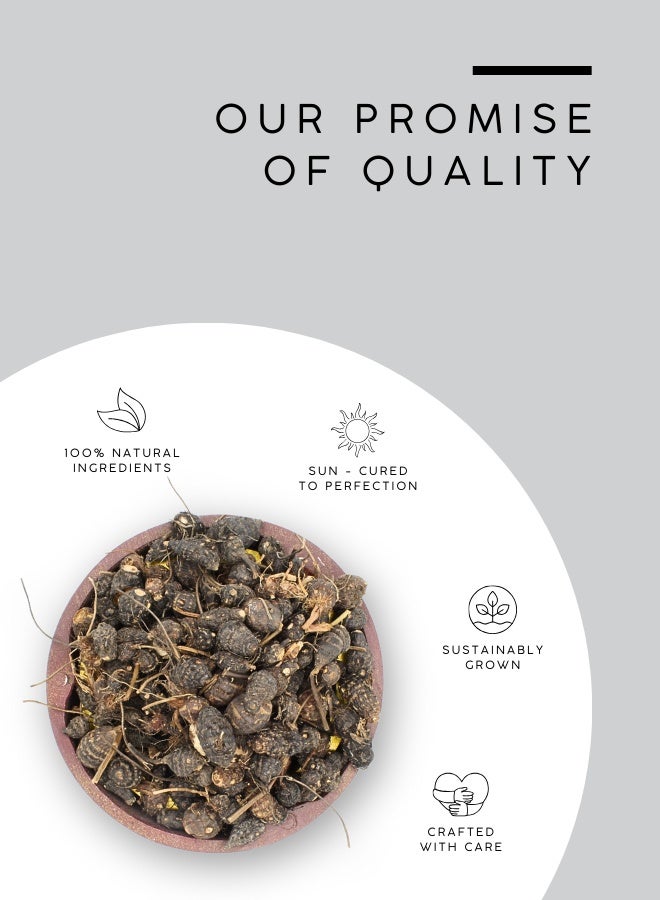 أباميك عوافي ميل جذر ناغارموثا (Cyperus Scariosus) - 500 جم | 17.6 أوقية - Image 4