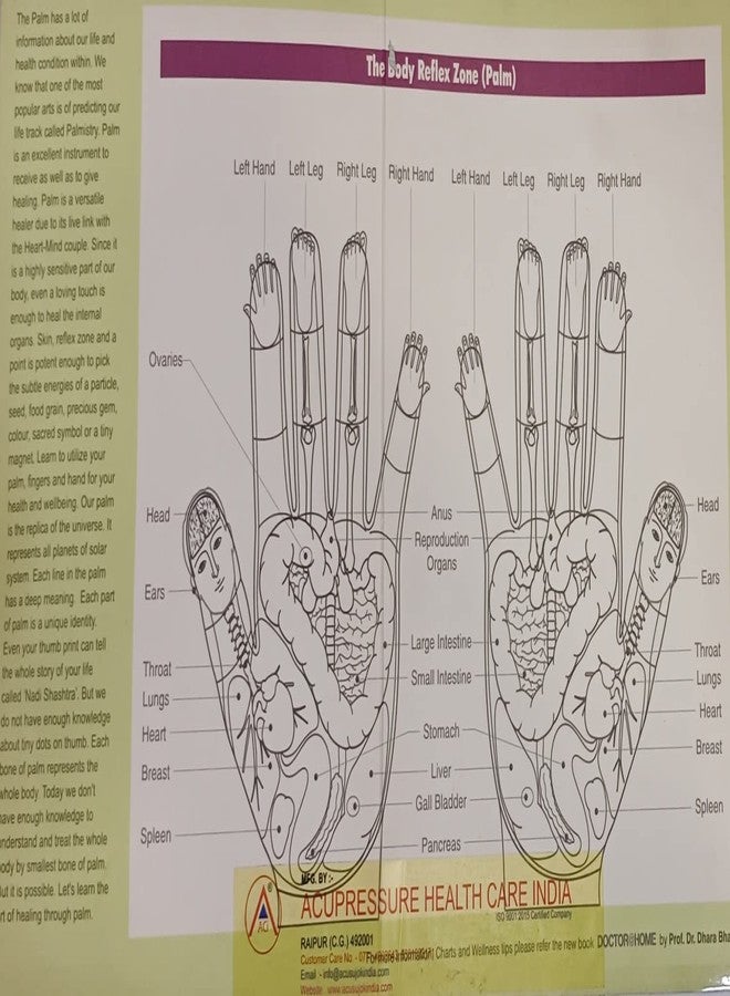 ACi Dr Roll Hand for Hand Reflexology Instant Relief For Pain And Fatigue - Image 3