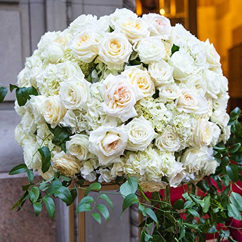Max Shape Round Floral Foam Blocks,Large Dry Floral Foam for Artificial Flowers,Craft Project,Wedding Aisle Flowers,Arty Decoration 6 Pack (7.87'') - Image 4