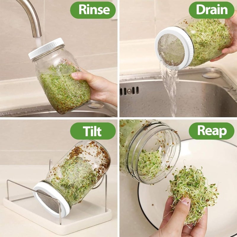 Sprouting Jars Complete Seed Sprouting Kit with 2 Large Jars, Sprout Lids, Blackout Sleeves, Drain Tray Stainless Steel Stand For Bean, Broccoli, Alfalfa Home Kitchen Use - Image 4