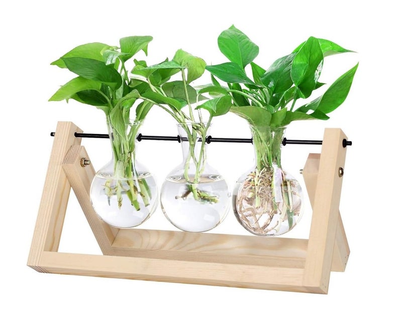 JERN Glass Desktop Planter with Retro Wooden Stand and Plant Terrarium vase for Indoor Office Desk Decor Accessories (Light Brown, 3 Bulb Vase) - Image 1