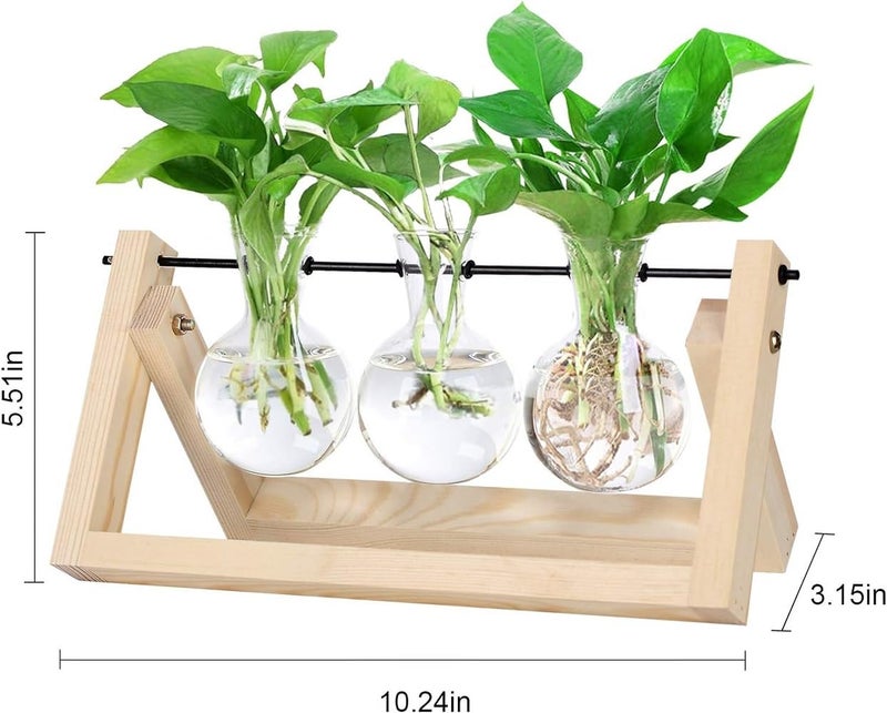 JERN Glass Desktop Planter with Retro Wooden Stand and Plant Terrarium vase for Indoor Office Desk Decor Accessories (Light Brown, 3 Bulb Vase) - Image 5