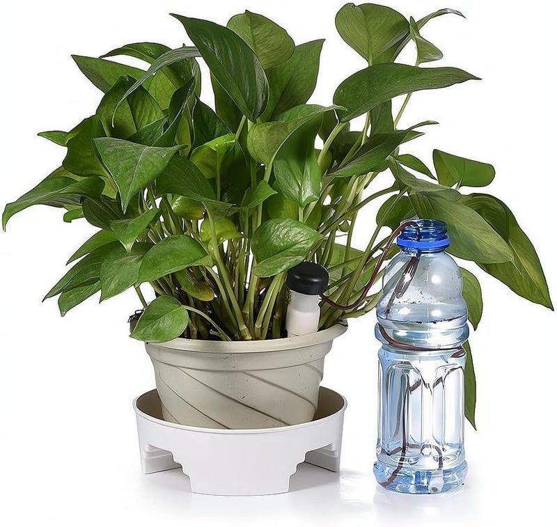 Luckam 8 pcs/Lot Indoor Auto Drip Irrigation Watering System Automatic Plant Waterers For Houseplant Seen Novelty Households - Image 4