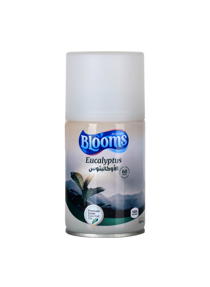 Blooms Eucalyptus - Automatic Refill Air Freshener - 250ml 