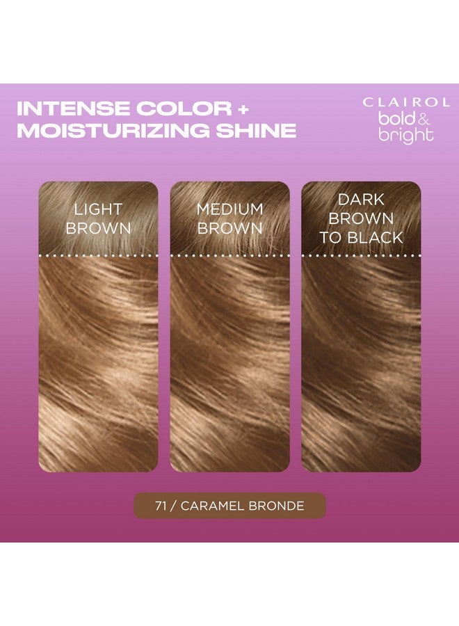 CLAIROL Bold & Bright Permanent Hair Dye 71 Caramel Bronde Hair Color Pack Of 1 - Image 3