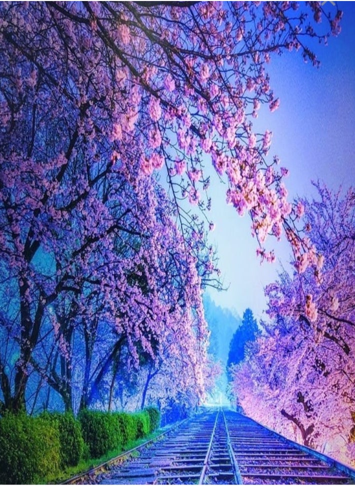 null - Romantic Cherry Blossom Puzzle Set, 1000 Pieces - Multicolor - Image 1