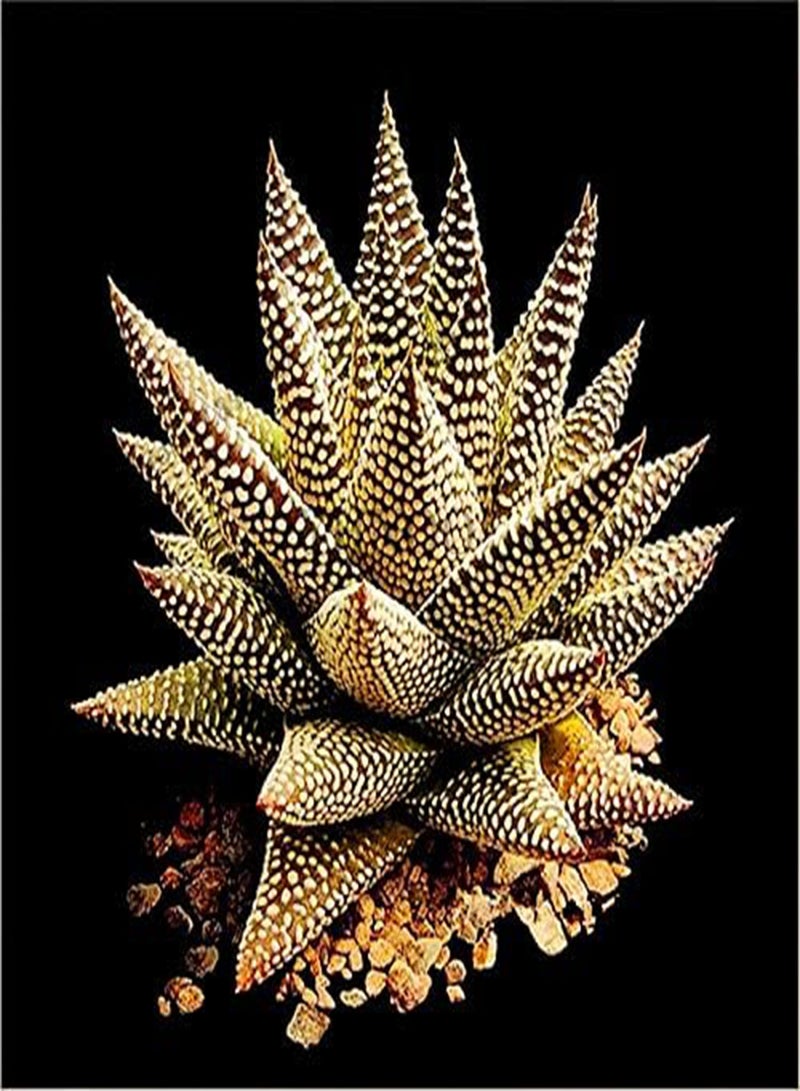 GGOOT seeds Fresh 100pcs Edible Aloe Vera Plant seeds for Planting Green 2 - Image 4