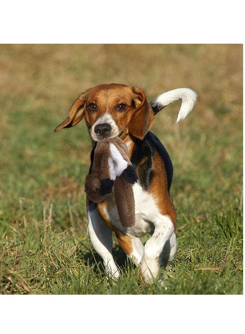 SYOSI Dog Squeaky Toys No Stuffing Corduroy Fluff to Chew or Swallow Suitable for Small and Medium Playing Gift - Image 3