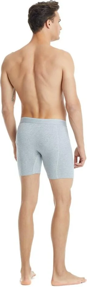 Blackspade Tender Cotton Gray Melange Boxer C6T1N2O9