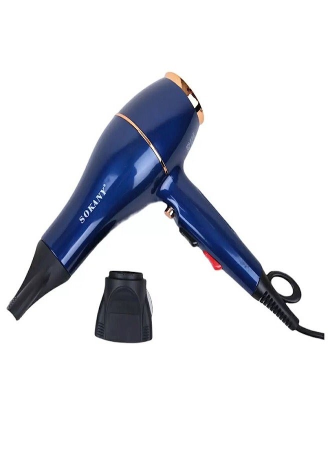 Professional Hair Dryer -2600W